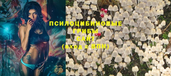 шишки Алексин
