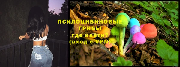 стаф Абдулино