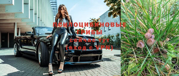стаф Абдулино
